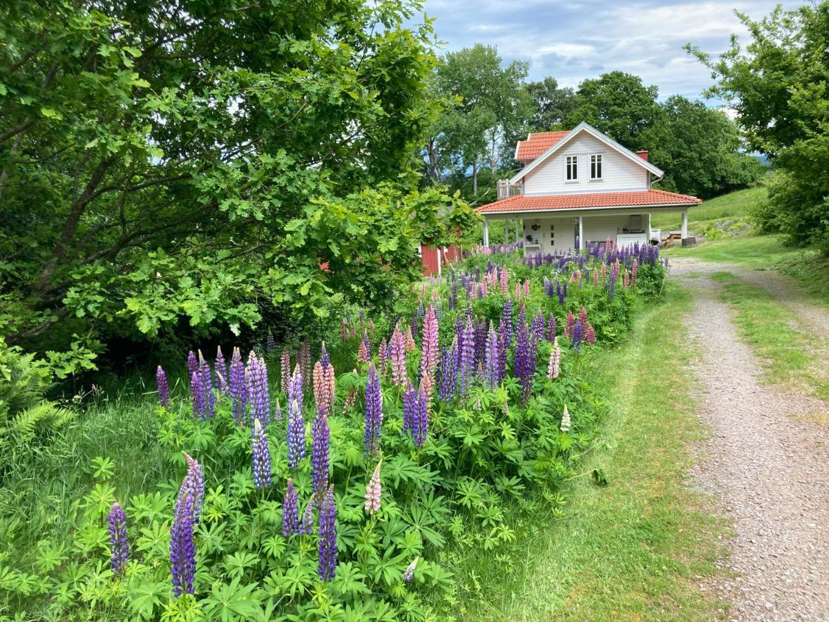 Ny Flintarp Villa Laholm Exterior photo